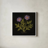 Vintage Chrysanthemum by Mackenzie Nelson. Shown in a crisp white glass frame for a clean and minimalist style. Available as an archival giclee rolled canvas, fine art paper, or poster print. SKU 103108a.