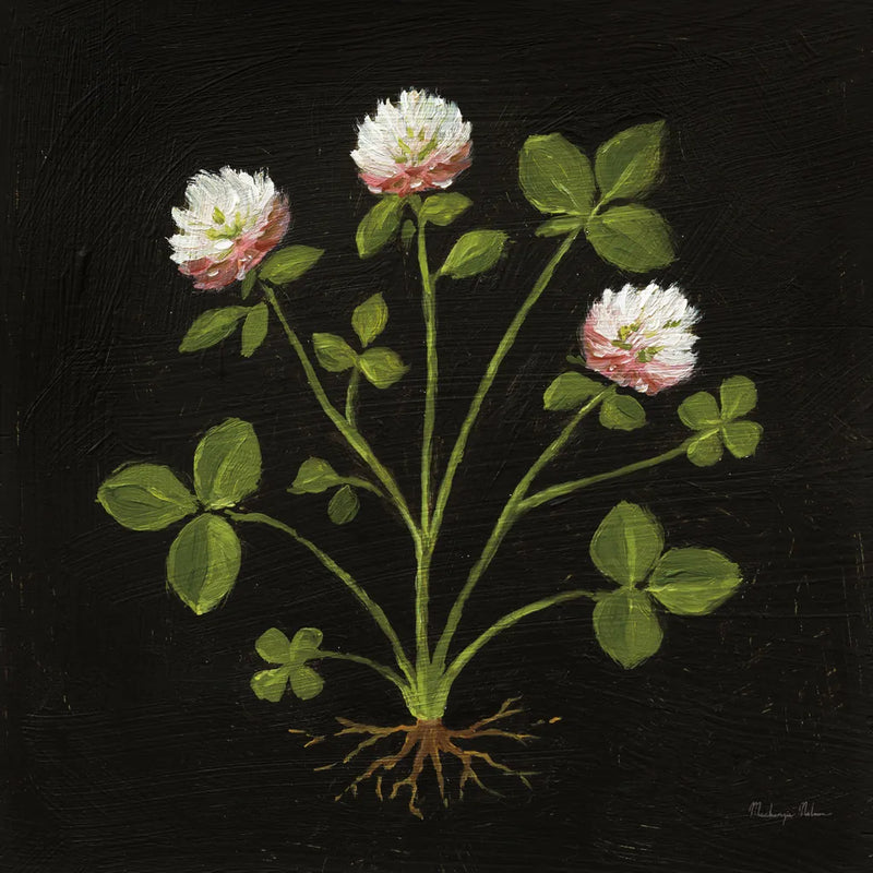 Vintage Clover by Mackenzie Nelson. SKU 103109a. Archival Giclee Fine art print for wall decor.
