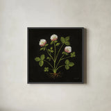 Vintage Clover by Mackenzie Nelson. Shown in a sleek black glass frame for a contemporary gallery look. Available as an archival giclee rolled canvas, fine art paper, or poster print. SKU 103109a.