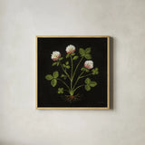 Vintage Clover by Mackenzie Nelson. Shown in a natural wood glass frame for a timeless modern aesthetic. Available as an archival giclee rolled canvas, fine art paper, or poster print. SKU 103109a.