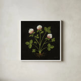 Vintage Clover by Mackenzie Nelson. Shown in a crisp white glass frame for a clean and minimalist style. Available as an archival giclee rolled canvas, fine art paper, or poster print. SKU 103109a.