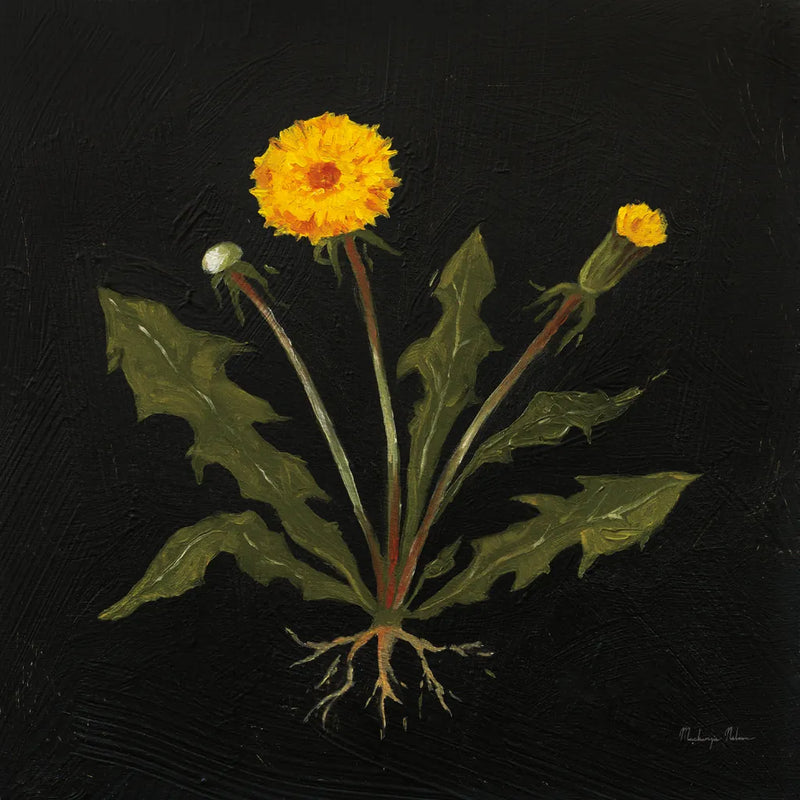 Vintage Dandelion by Mackenzie Nelson. SKU 103110a. Archival Giclee Fine art print for wall decor.