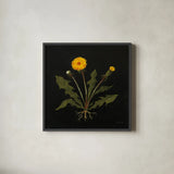 Vintage Dandelion by Mackenzie Nelson. Shown in a sleek black glass frame for a contemporary gallery look. Available as an archival giclee rolled canvas, fine art paper, or poster print. SKU 103110a.