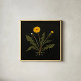 Vintage Dandelion by Mackenzie Nelson. Shown in a natural wood glass frame for a timeless modern aesthetic. Available as an archival giclee rolled canvas, fine art paper, or poster print. SKU 103110a.