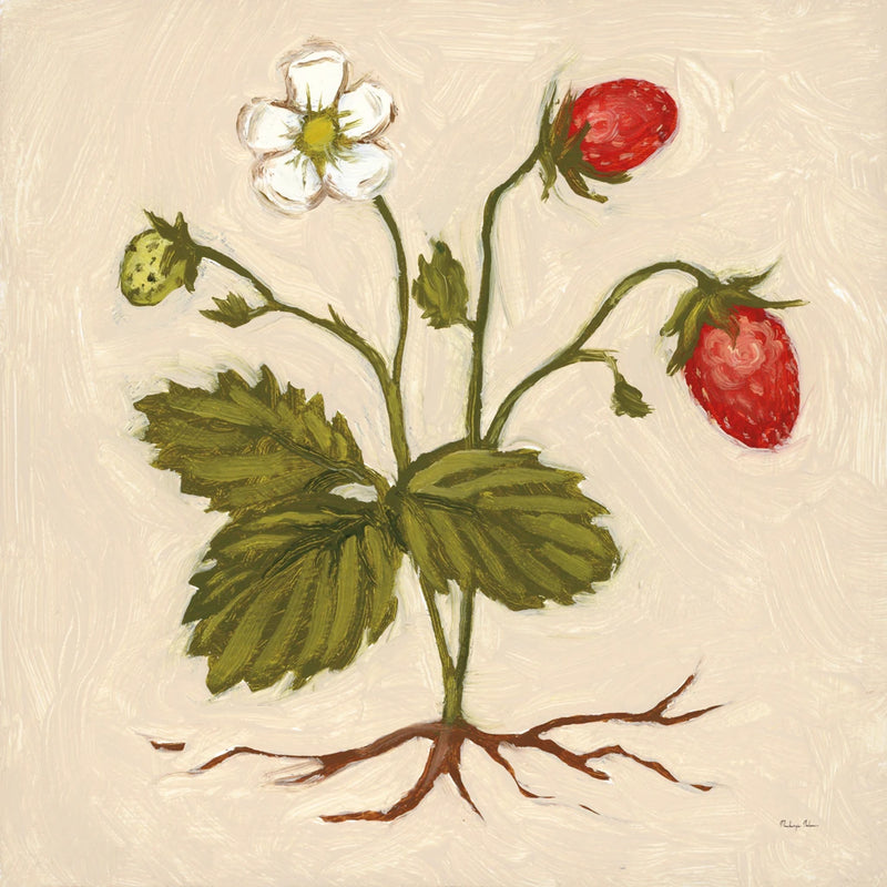 Vintage Strawberries I by Mackenzie Nelson