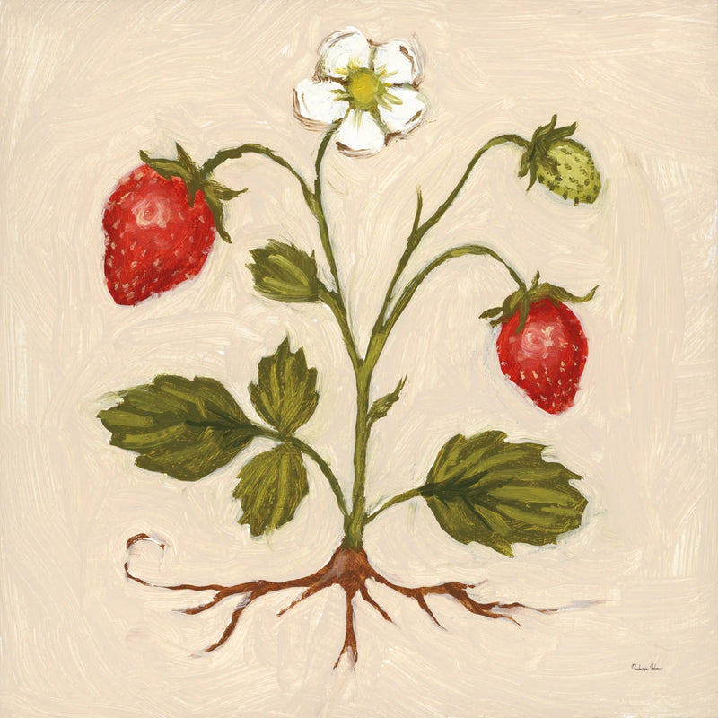 Vintage Strawberries II by Mackenzie Nelson