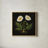 Vintage White Poppies by Mackenzie Nelson. Shown in a natural wood glass frame for a timeless modern aesthetic. Available as an archival giclee rolled canvas, fine art paper, or poster print. SKU 103111a.