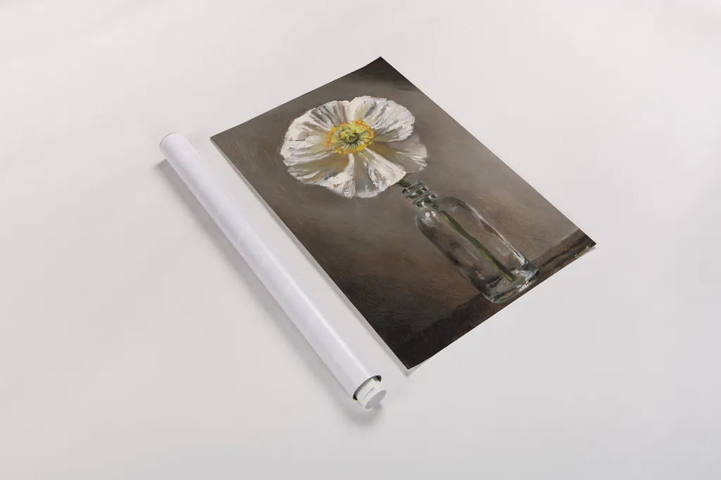 White Poppy by Mackenzie Nelson. shown as a rolled paper print. Available as archival giclee rolled canvas, fine art paper, or poster print. SKU 102204h.