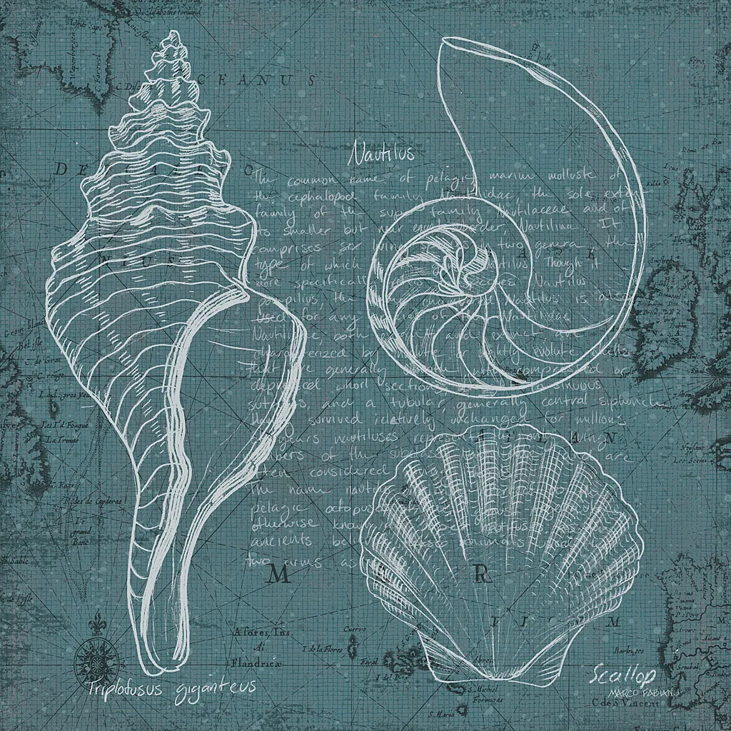 Coastal Blueprint I by Marco Fabiano. SKU 14061a. Archival Giclee Fine art print for wall decor.