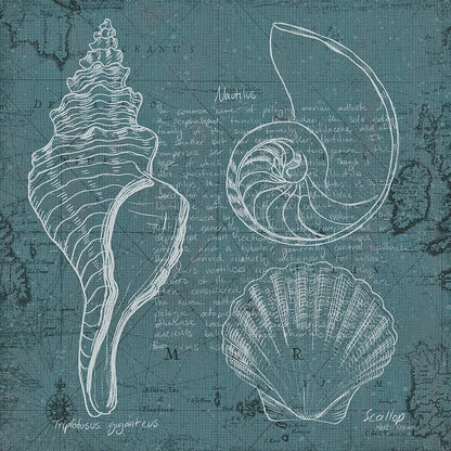 Coastal Blueprint I by Marco Fabiano. SKU 14061a. Archival Giclee Fine art print for wall decor.