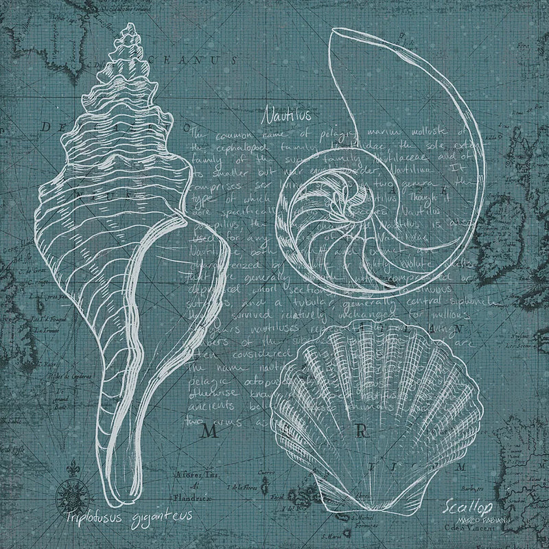 Coastal Blueprint I by Marco Fabiano. SKU 14061a. Archival Giclee Fine art print for wall decor.