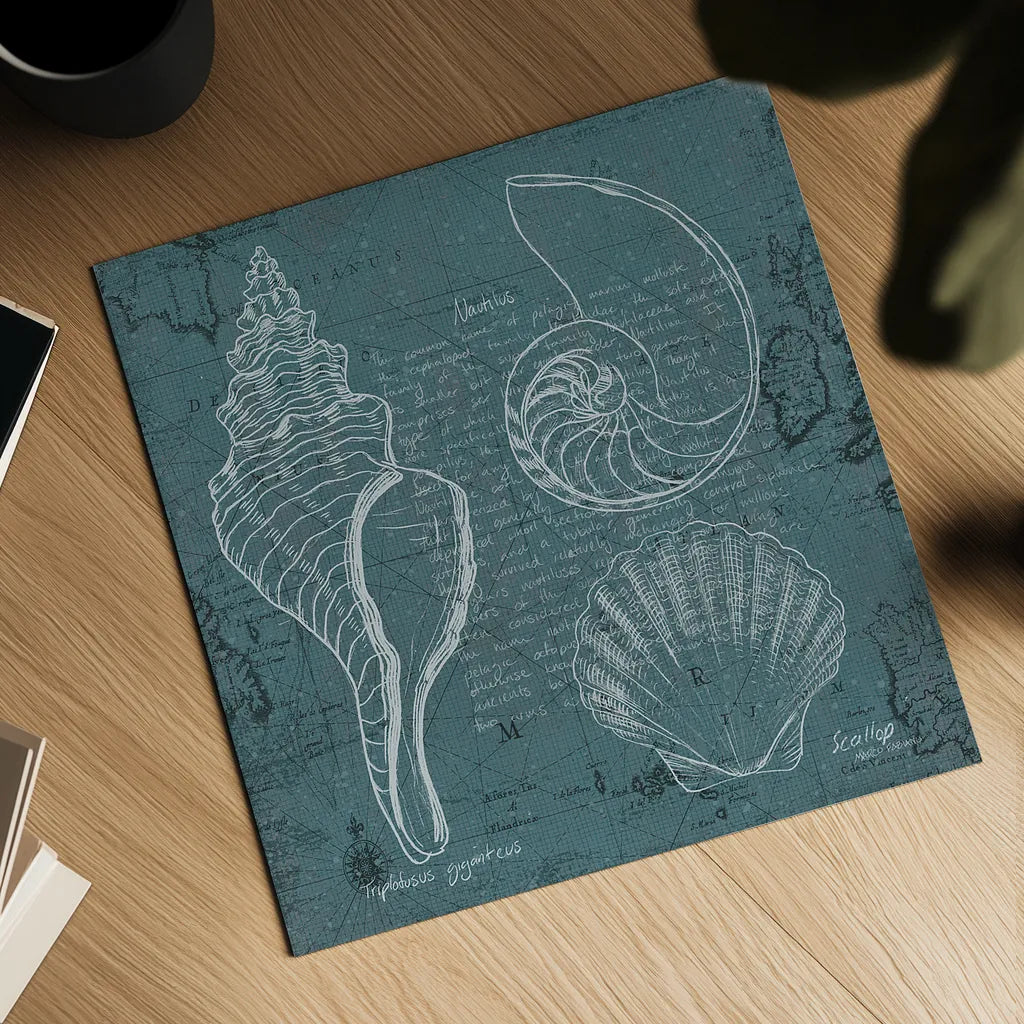 Coastal Blueprint I by Marco Fabiano. Shown as a detailed flat fine art print, highlighting archival giclee quality. Available as an archival giclee rolled canvas, fine art paper, or poster print. SKU 14061a.