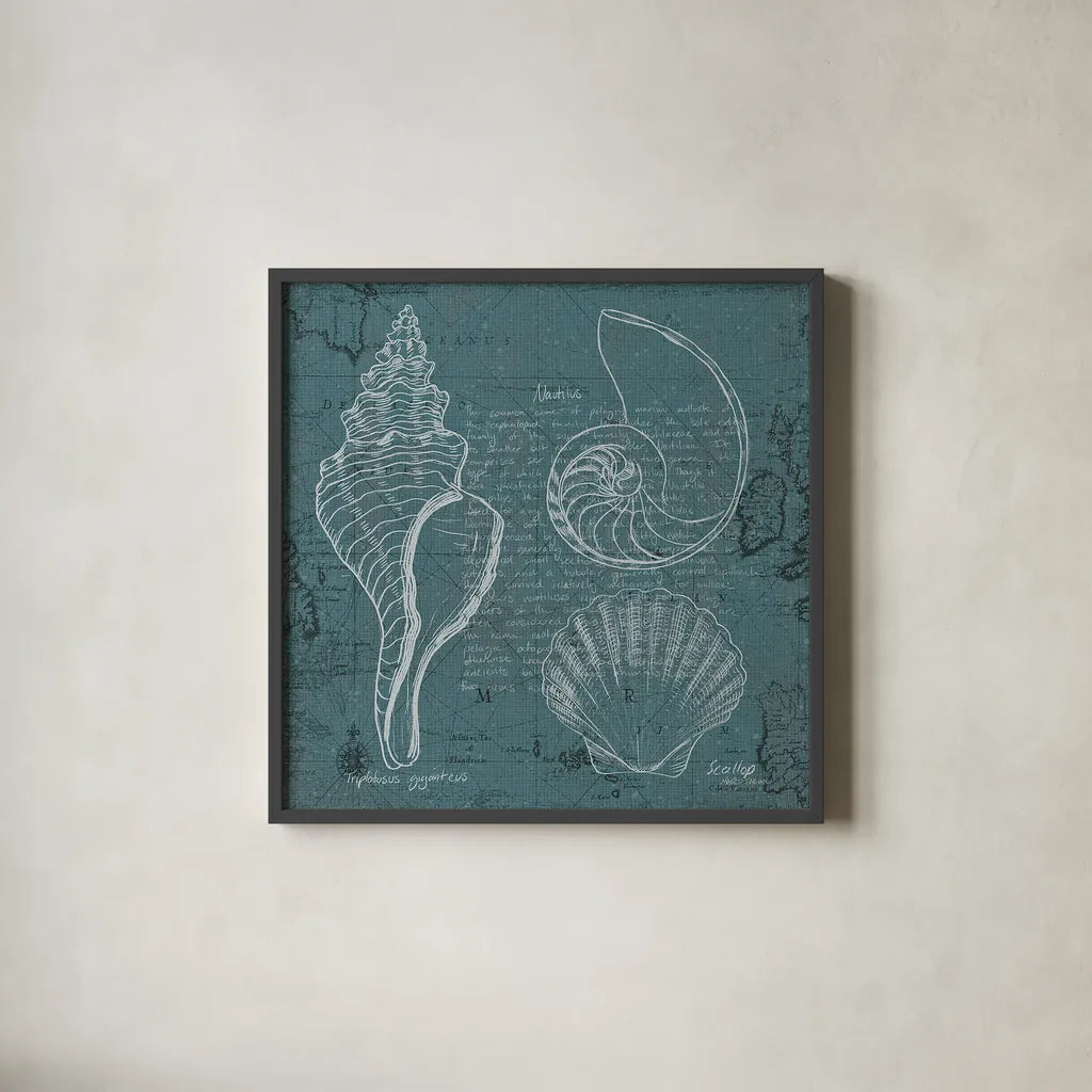 Coastal Blueprint I by Marco Fabiano. Shown in a sleek black glass frame for a contemporary gallery look. Available as an archival giclee rolled canvas, fine art paper, or poster print. SKU 14061a.