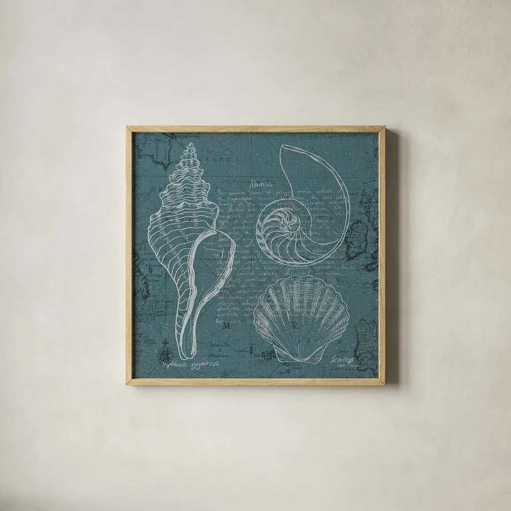 Coastal Blueprint I by Marco Fabiano. Shown in a natural wood glass frame for a timeless modern aesthetic. Available as an archival giclee rolled canvas, fine art paper, or poster print. SKU 14061a.