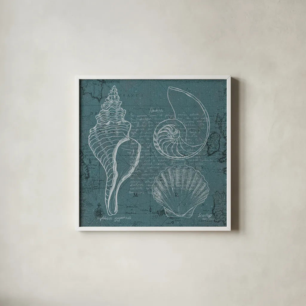 Coastal Blueprint I by Marco Fabiano. Shown in a crisp white glass frame for a clean and minimalist style. Available as an archival giclee rolled canvas, fine art paper, or poster print. SKU 14061a.
