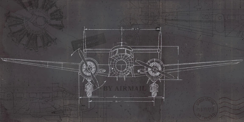 Plane Blueprint IV Wings by Marco Fabiano