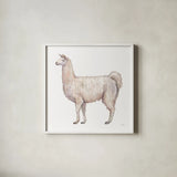 Bohemian Cactus Llama by Mary Urban. Shown in a crisp white glass frame for a clean and minimalist style. Available as an archival giclee rolled canvas, fine art paper, or poster print. SKU 46810a.