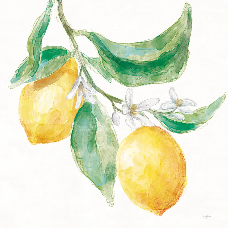 Everyday Lemons I On White by Mary Urban. SKU 87834a. Archival Giclee Fine art print for wall decor.