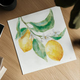 Everyday Lemons I On White by Mary Urban. Shown as a detailed flat fine art print, highlighting archival giclee quality. Available as an archival giclee rolled canvas, fine art paper, or poster print. SKU 87834a.