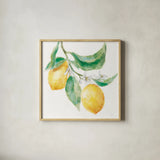 Everyday Lemons I On White by Mary Urban. Shown in a natural wood glass frame for a timeless modern aesthetic. Available as an archival giclee rolled canvas, fine art paper, or poster print. SKU 87834a.