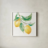 Everyday Lemons I On White by Mary Urban. Shown in a crisp white glass frame for a clean and minimalist style. Available as an archival giclee rolled canvas, fine art paper, or poster print. SKU 87834a.