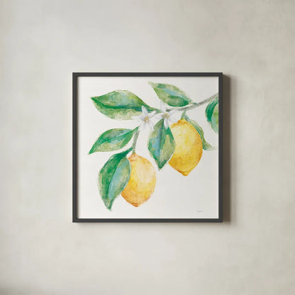 Everyday Lemons II On White by Mary Urban. Shown in a sleek black glass frame for a contemporary gallery look. Available as an archival giclee rolled canvas, fine art paper, or poster print. SKU 87835a.