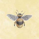 Late Summer Harvest Bee I Yellow by Mary Urban. SKU 87933a. Archival Giclee Fine art print for wall decor.