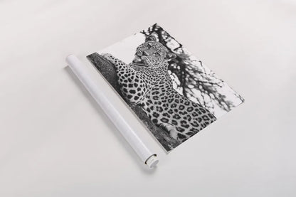 Lounging Leopard Neutral by Max Blakesberg. shown as a rolled paper print. Available as archival giclee rolled canvas, fine art paper, or poster print. SKU 94182i.