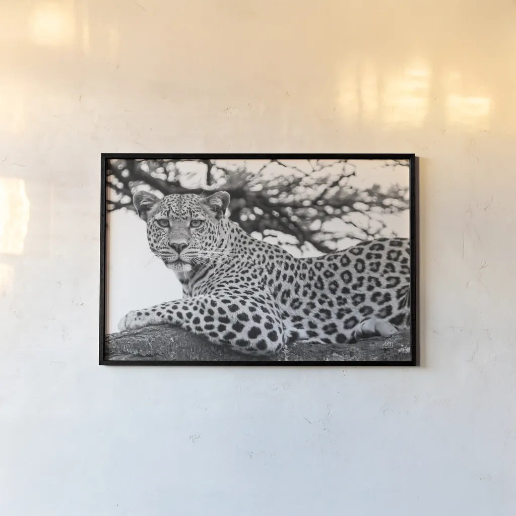 Lounging Leopard Neutral by Max Blakesberg. shown as a paper print in a black flame. Available as a archival giclee rolled canvas, fine art paper, or poster print. SKU 94182i.