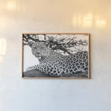 Lounging Leopard Neutral by Max Blakesberg. shown as a paper print in a natural frame. Available as a archival giclee rolled canvas, fine art paper, or poster print. SKU 94182i.