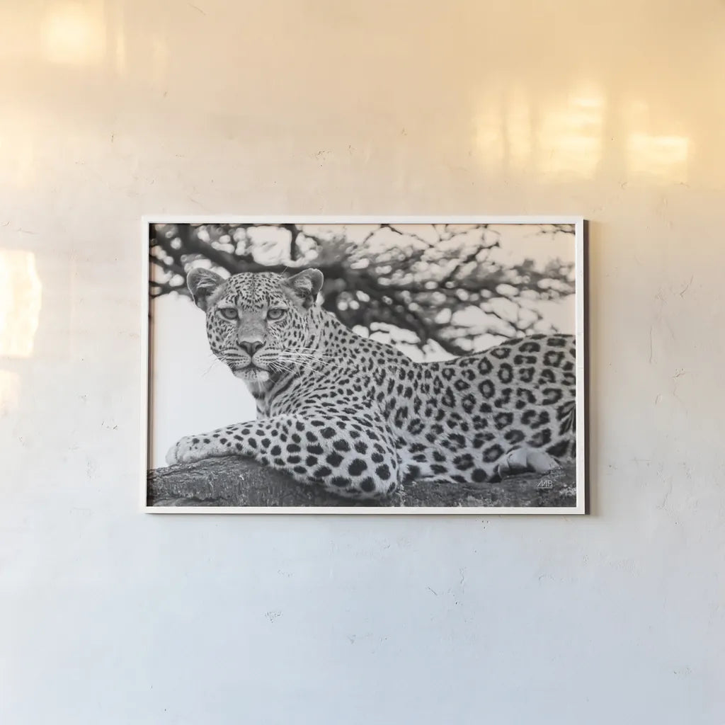 Lounging Leopard Neutral by Max Blakesberg. shown as a paper print in a white frame. Available as a archival giclee rolled canvas, fine art paper, or poster print. SKU 94182i.