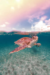 Above and Below by Max Blakesberg Studios. SKU 90884h. Archival Giclee Fine art print for wall decor.
