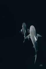 Above the Abyss by Max Blakesberg Studios. SKU 90883h. Archival Giclee Fine art print for wall decor.