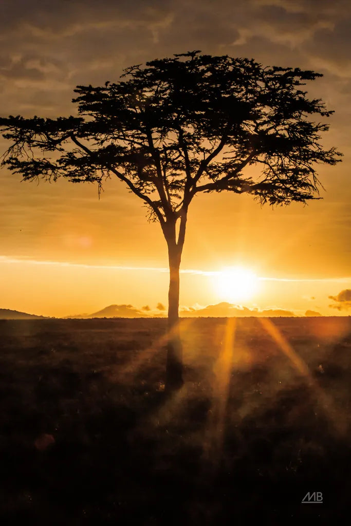 African Sunrise by Max Blakesberg Studios. SKU 90844h. Archival Giclee Fine art print for wall decor.