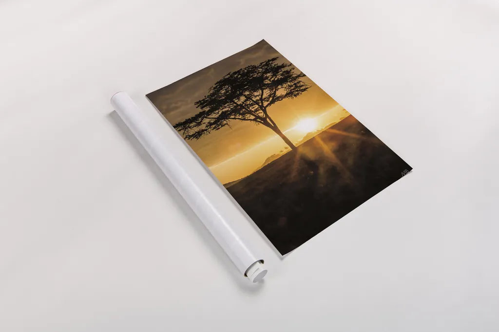African Sunrise by Max Blakesberg Studios. shown as a rolled paper print. Available as archival giclee rolled canvas, fine art paper, or poster print. SKU 90844h.