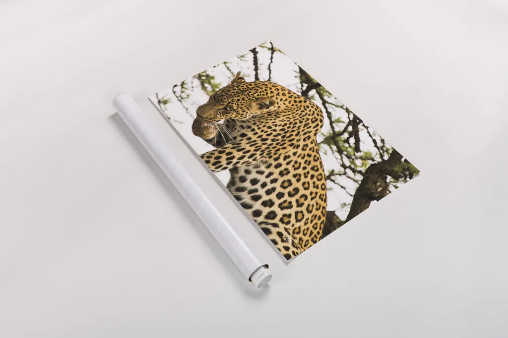 After Lunch by Max Blakesberg Studios. shown as a rolled paper print. Available as archival giclee rolled canvas, fine art paper, or poster print. SKU 90887i.