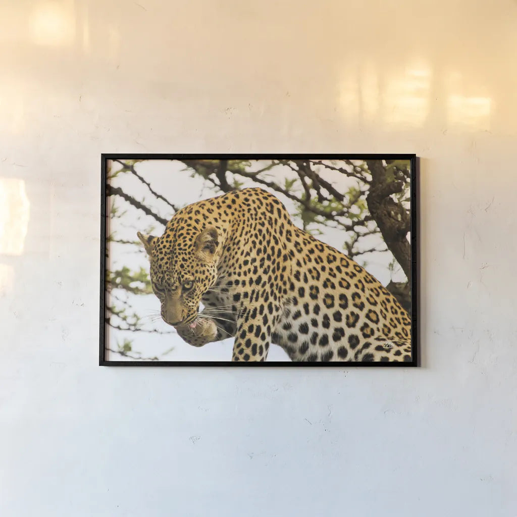 After Lunch by Max Blakesberg Studios. shown as a paper print in a black flame. Available as a archival giclee rolled canvas, fine art paper, or poster print. SKU 90887i.