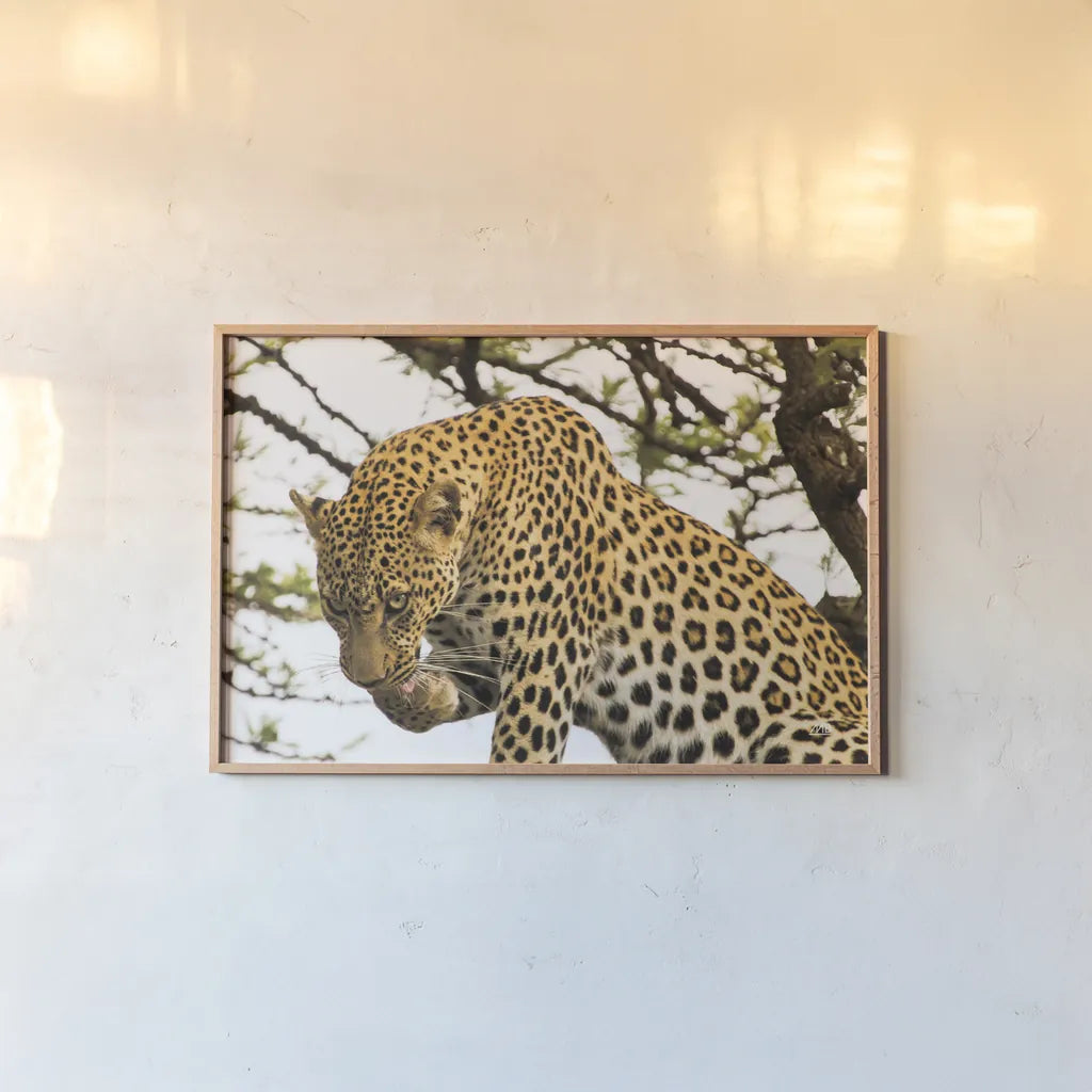 After Lunch by Max Blakesberg Studios. shown as a paper print in a natural frame. Available as a archival giclee rolled canvas, fine art paper, or poster print. SKU 90887i.