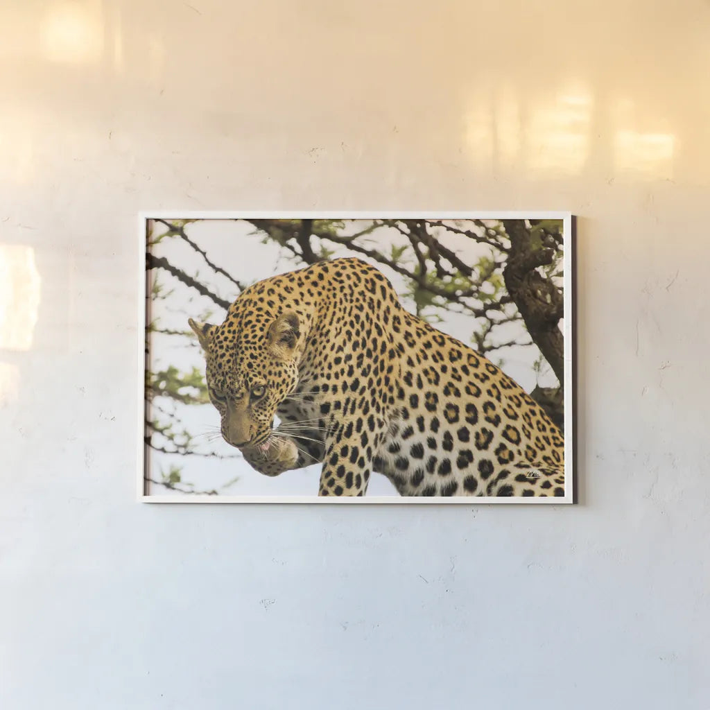 After Lunch by Max Blakesberg Studios. shown as a paper print in a white frame. Available as a archival giclee rolled canvas, fine art paper, or poster print. SKU 90887i.