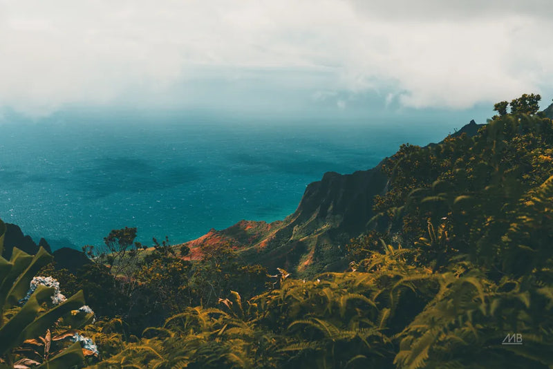 Beauty of Hawaii by Max Blakesberg Studios. SKU 93619i. Archival Giclee Fine art print for wall decor.