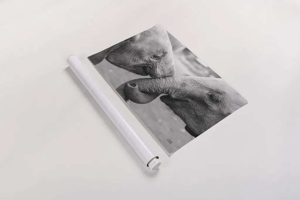 Besties by Max Blakesberg Studios. shown as a rolled paper print. Available as archival giclee rolled canvas, fine art paper, or poster print. SKU 93609i.