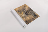 Big Yawn I by Max Blakesberg Studios. shown as a rolled paper print. Available as archival giclee rolled canvas, fine art paper, or poster print. SKU 93612h.