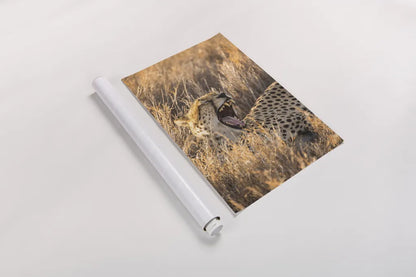 Big Yawn I by Max Blakesberg Studios. shown as a rolled paper print. Available as archival giclee rolled canvas, fine art paper, or poster print. SKU 93612h.