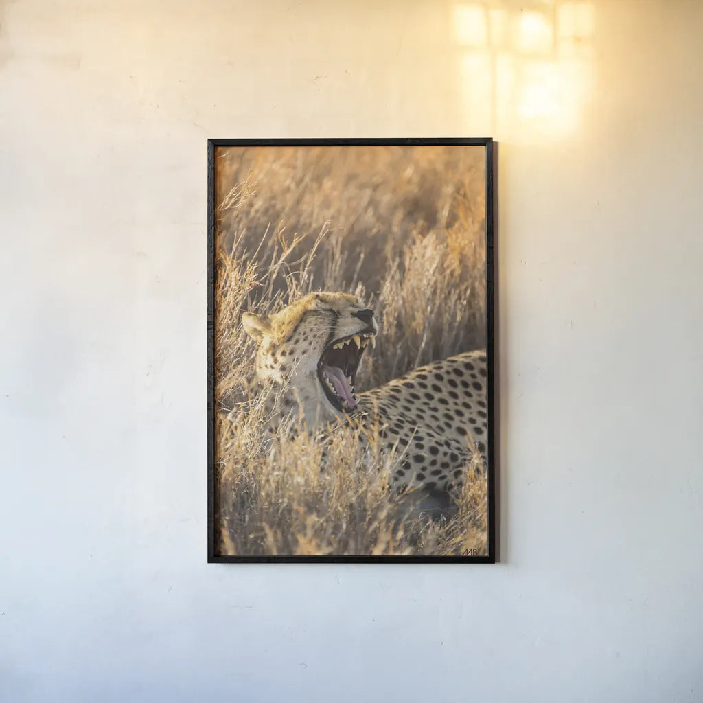 Big Yawn I by Max Blakesberg Studios. shown as a paper print in a black flame. Available as a archival giclee rolled canvas, fine art paper, or poster print. SKU 93612h.