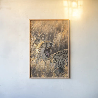 Big Yawn I by Max Blakesberg Studios. shown as a paper print in a natural frame. Available as a archival giclee rolled canvas, fine art paper, or poster print. SKU 93612h.