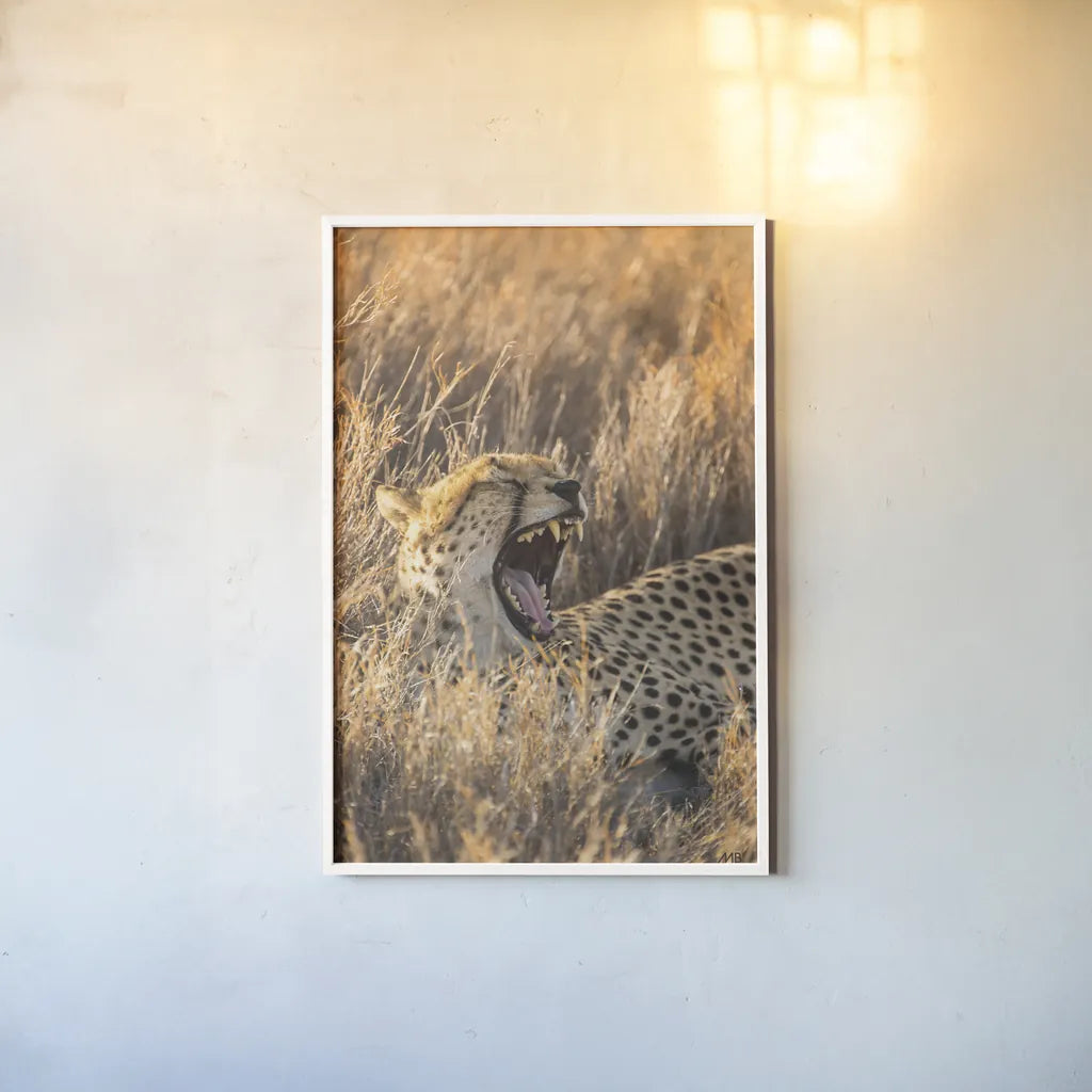 Big Yawn I by Max Blakesberg Studios. shown as a paper print in a white frame. Available as a archival giclee rolled canvas, fine art paper, or poster print. SKU 93612h.