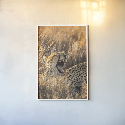 Big Yawn I by Max Blakesberg Studios. shown as a paper print in a white frame. Available as a archival giclee rolled canvas, fine art paper, or poster print. SKU 93612h.
