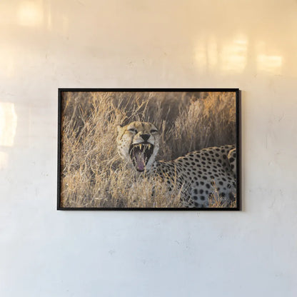 Big Yawn II by Max Blakesberg Studios. shown as a paper print in a black flame. Available as a archival giclee rolled canvas, fine art paper, or poster print. SKU 93613i.