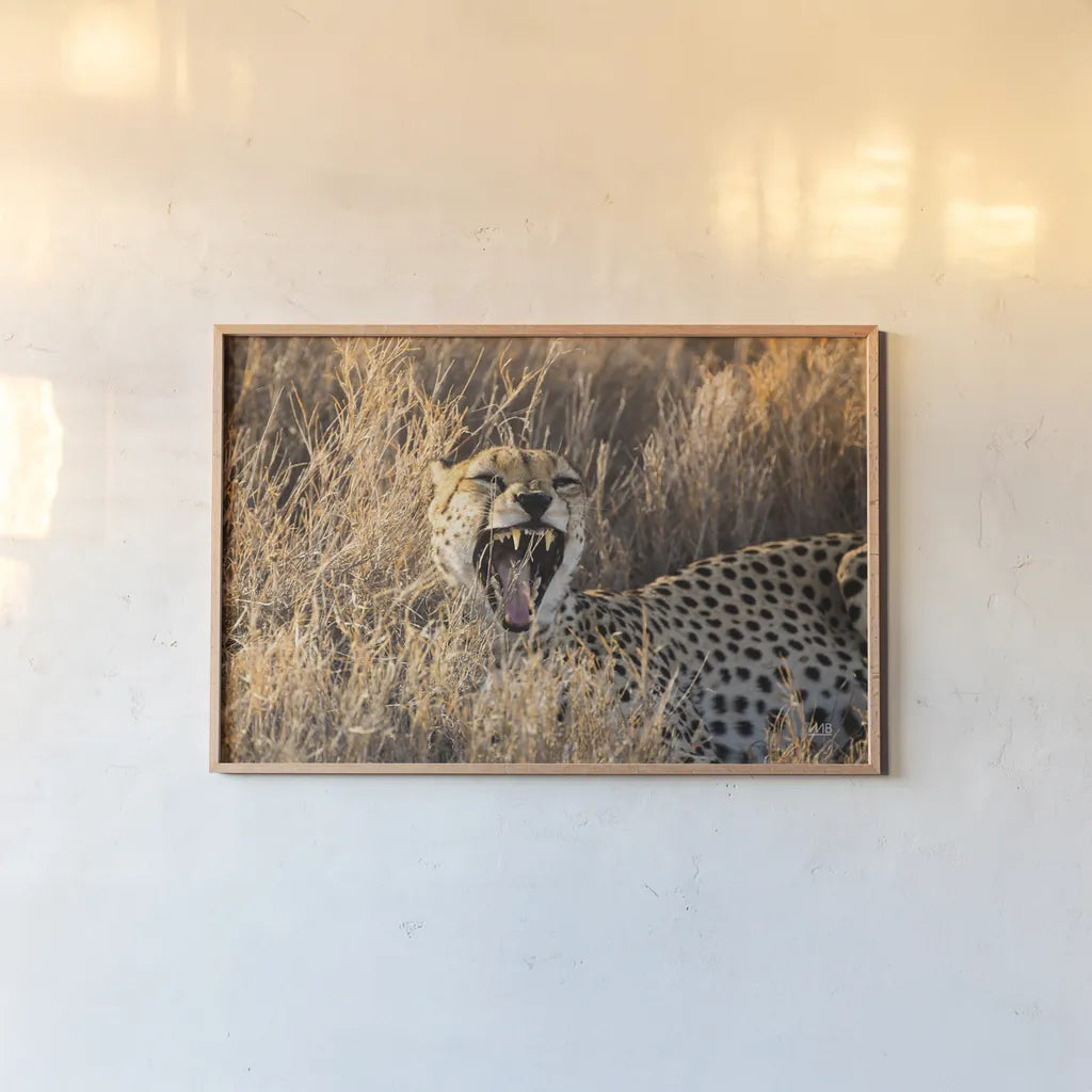 Big Yawn II by Max Blakesberg Studios. shown as a paper print in a natural frame. Available as a archival giclee rolled canvas, fine art paper, or poster print. SKU 93613i.