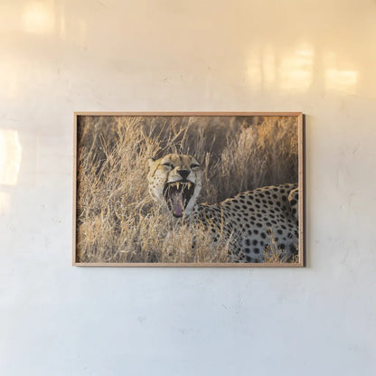 Big Yawn II by Max Blakesberg Studios. shown as a paper print in a natural frame. Available as a archival giclee rolled canvas, fine art paper, or poster print. SKU 93613i.